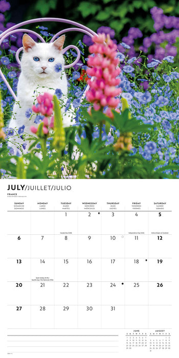 2025 In the Garden Wall Calendar