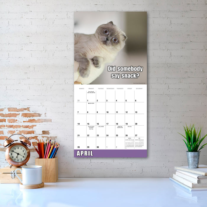 2024 Meow Memes Wall Calendar