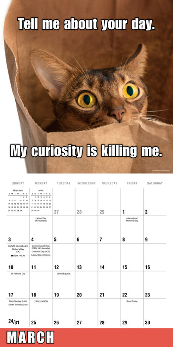 2024 Meow Memes Wall Calendar