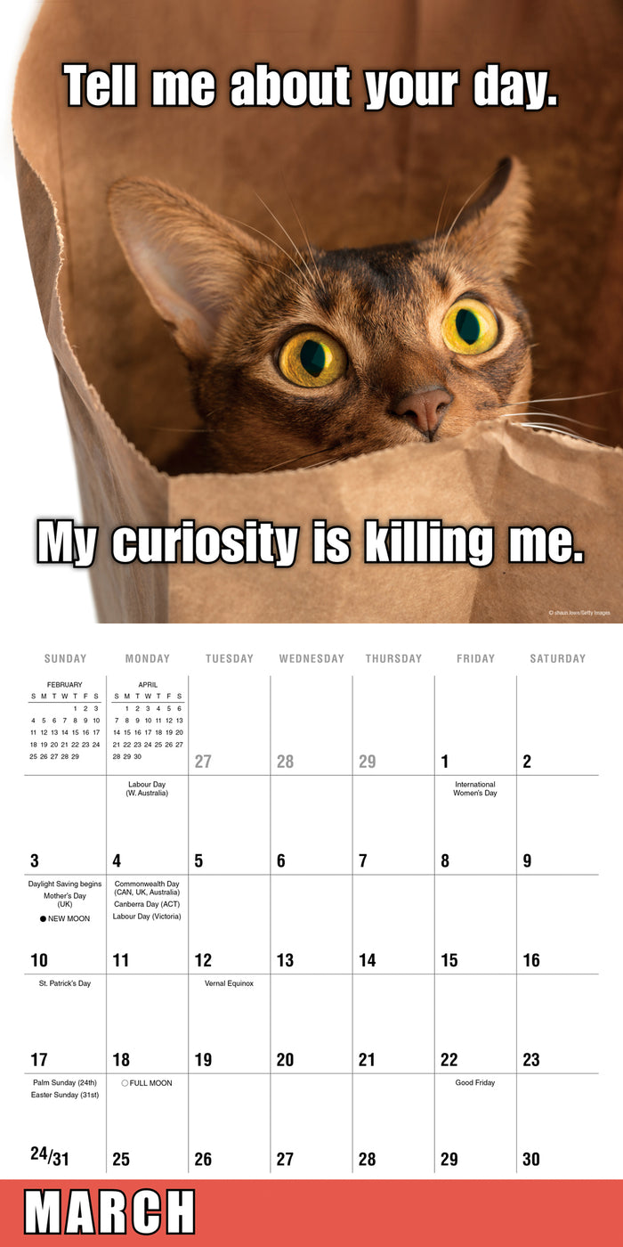 2024 Meow Memes Wall Calendar — Calendar Club