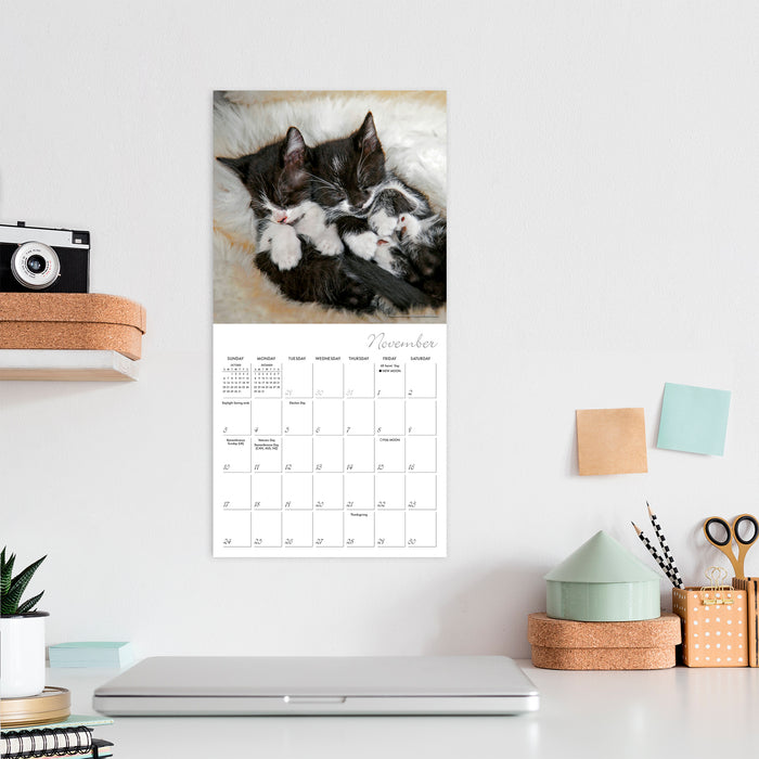 2024 Cat Naps Mini Wall Calendar