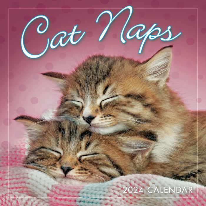 2024 Cat Naps Mini Wall Calendar
