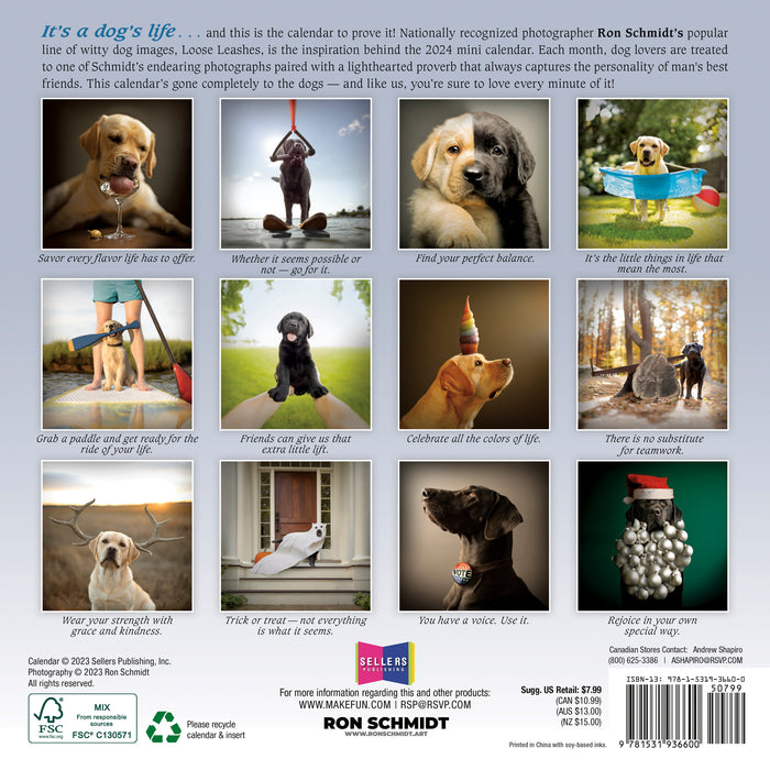 2024 Dogma: A Dog’s Guide to Life Mini Wall Calendar