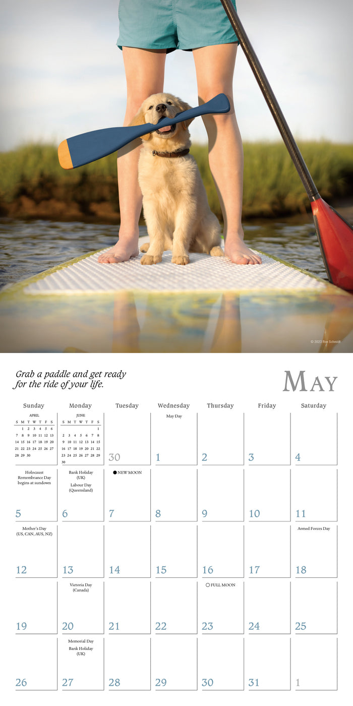 2024 Dogma A Dog’s Guide to Life Mini Wall Calendar — Calendar Club