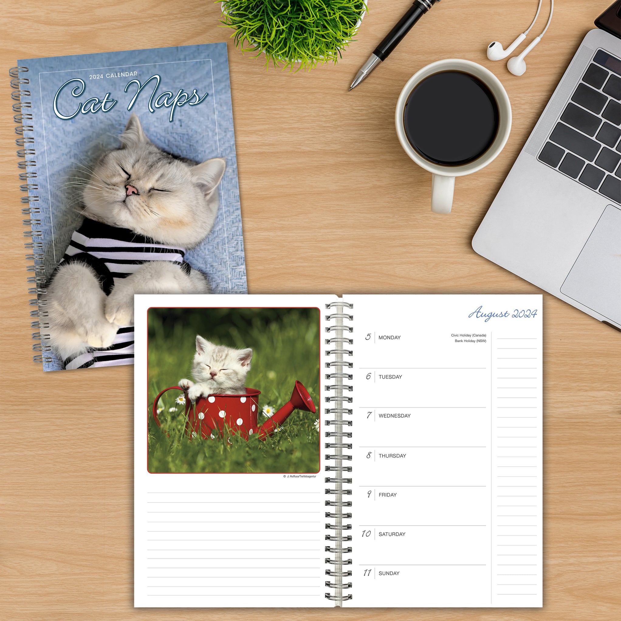 2024 Cat Naps Diary — Calendar Club