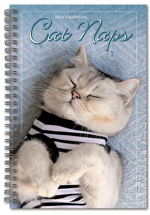 2024 Cat Naps Diary