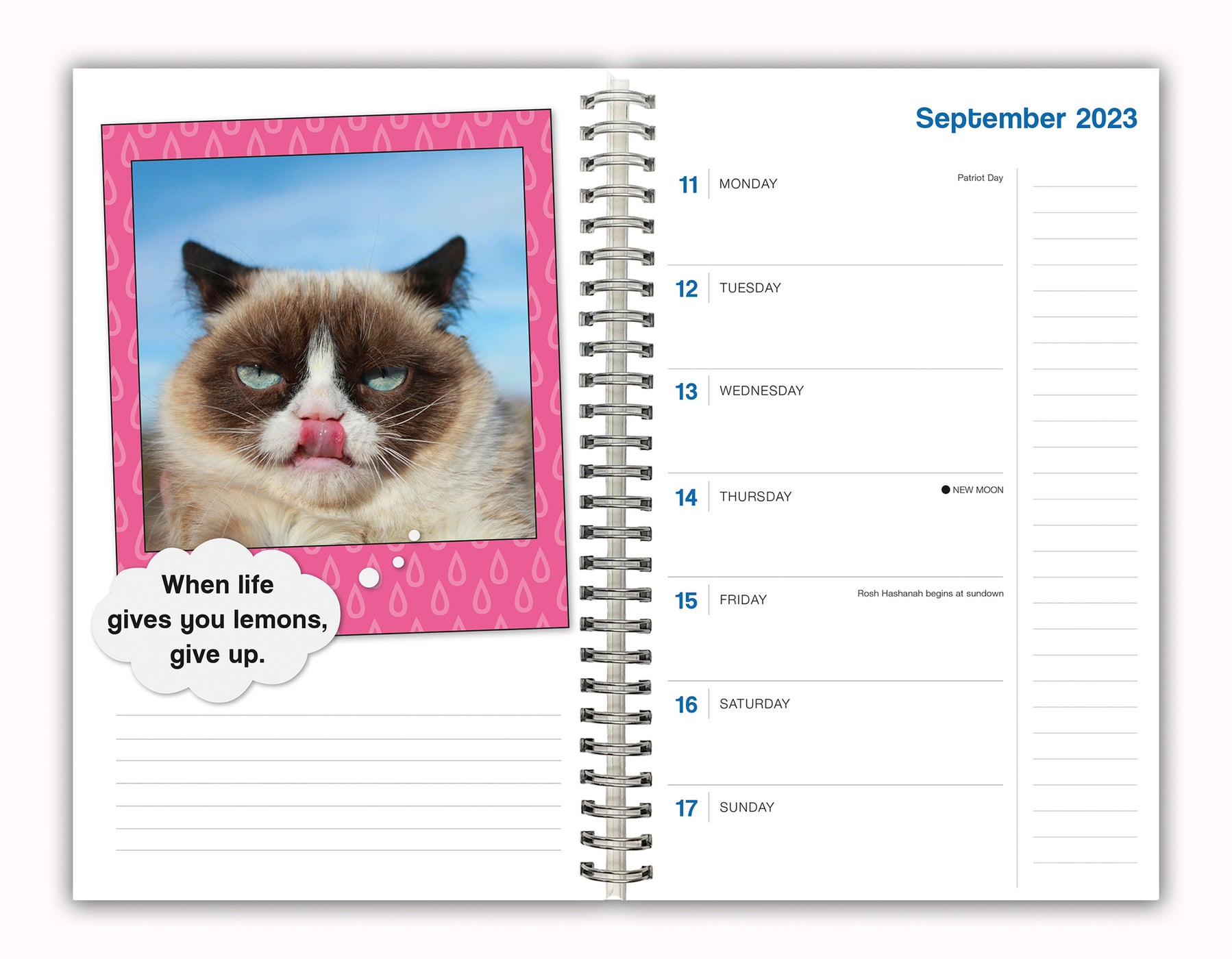 2024 Grumpy Cat Diary — Calendar Club