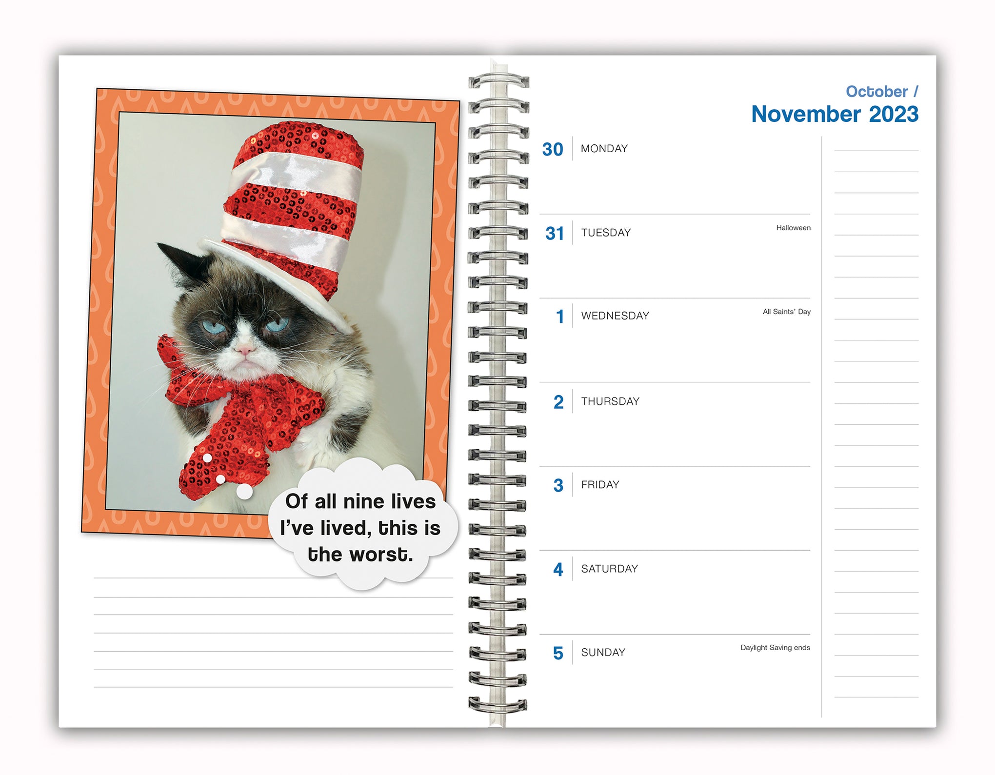 2024 Grumpy Cat Diary — Calendar Club