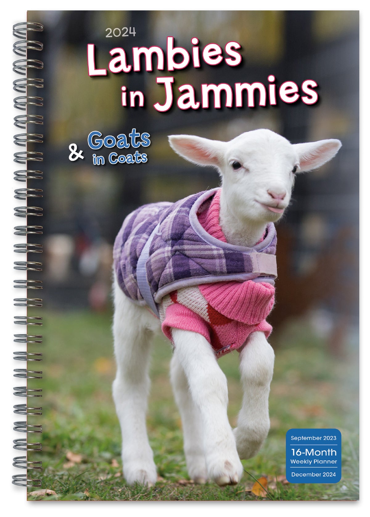 2024 Lambies in Jammies & Goats in Coats Diary — Calendar Club