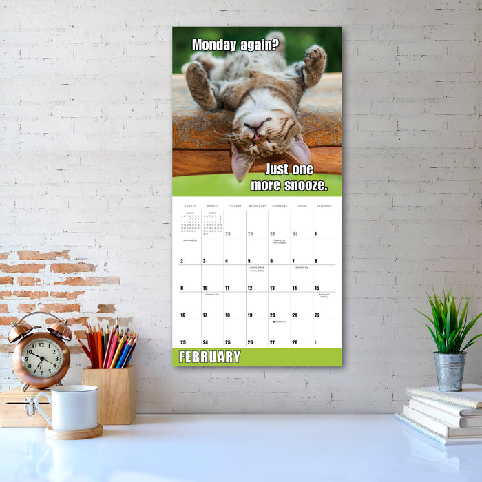 2025 Meow Memes Wall Calendar