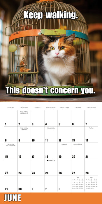 2025 Meow Memes Wall Calendar