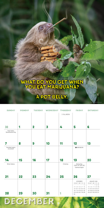 2025 Stoner Sloths Wall Calendar