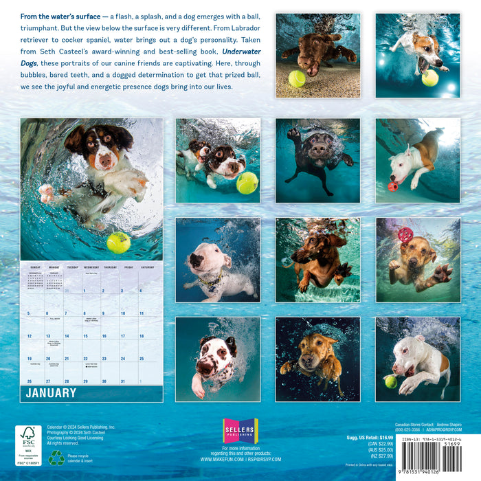 2025 Underwater Dogs Wall Calendar