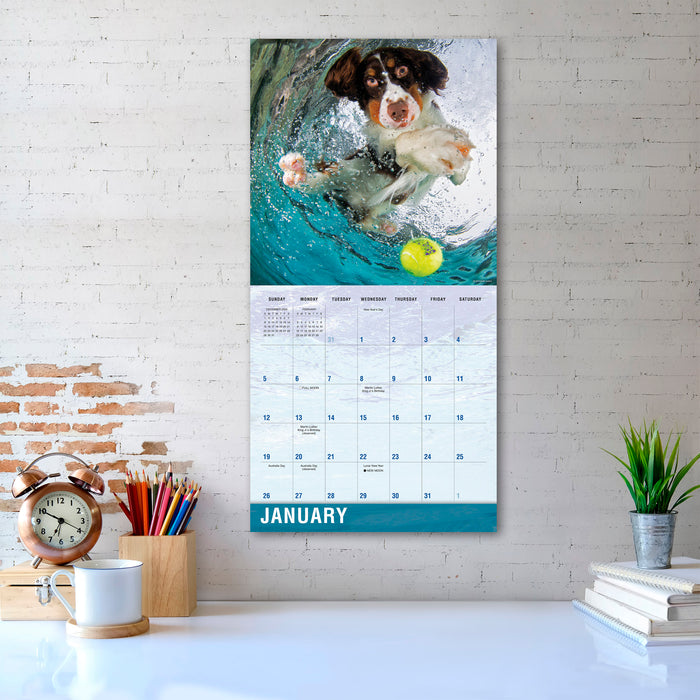 2025 Underwater Dogs Wall Calendar