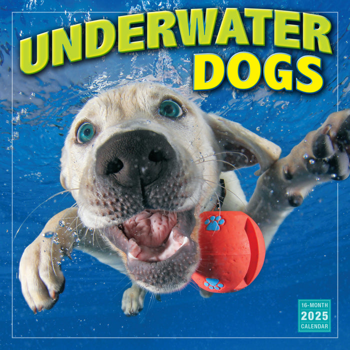 2025 Underwater Dogs Wall Calendar