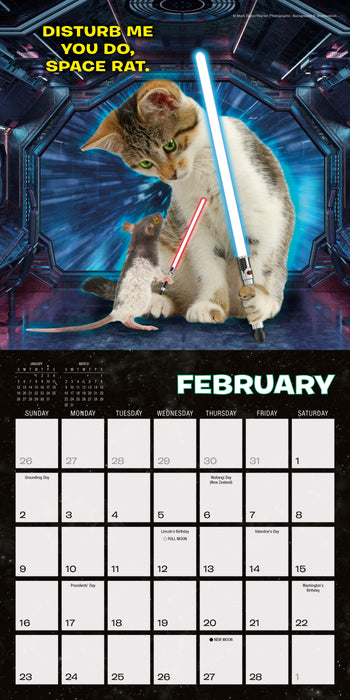 2025 Cat Wars Mini Wall Calendar