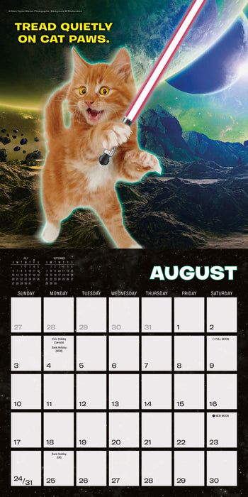 2025 Cat Wars Mini Wall Calendar