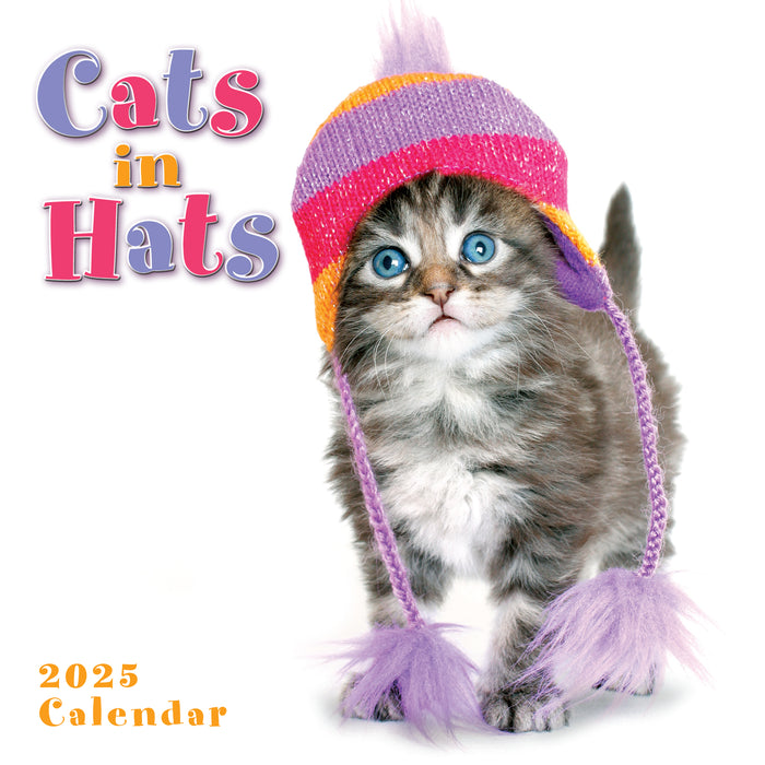 2025 Cats in Hats Mini Wall Calendar