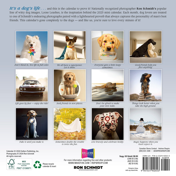 2025 Dogma: A Dog’s Guide to Life by Ron Schmidt Mini Wall Calendar