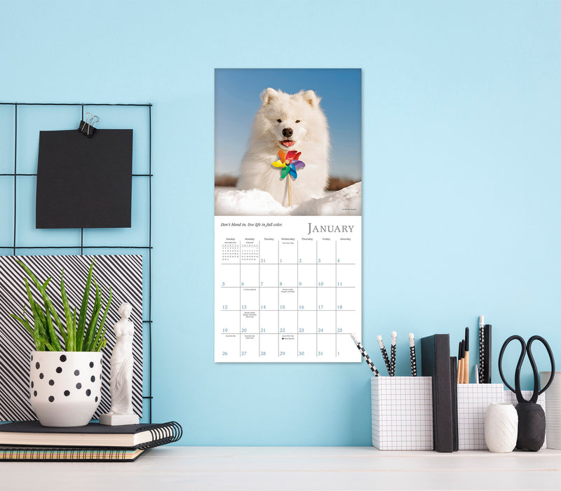 2025 Dogma: A Dog’s Guide to Life by Ron Schmidt Mini Wall Calendar