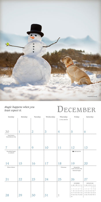 2025 Dogma: A Dog’s Guide to Life by Ron Schmidt Mini Wall Calendar