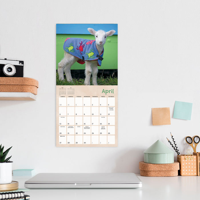 2025 Lambies in Jammies & Goats in Coats Mini Wall Calendar