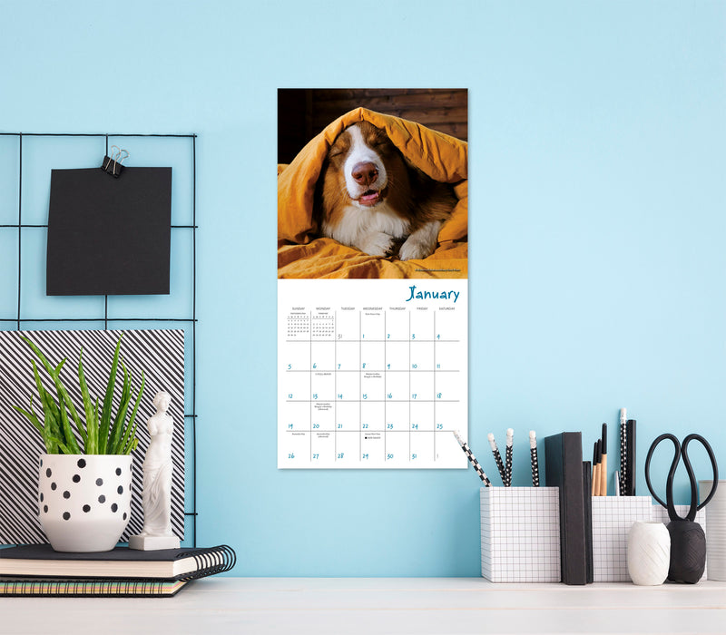 2025 Pooped Puppies Mini Wall Calendar