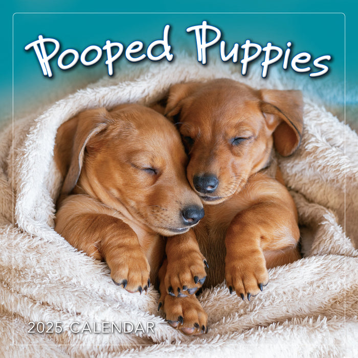 2025 Pooped Puppies Mini Wall Calendar