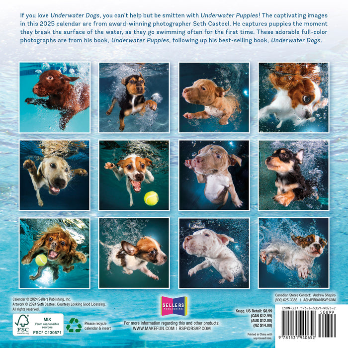 2025 Underwater Puppies by Seth Casteel Mini Wall Calendar