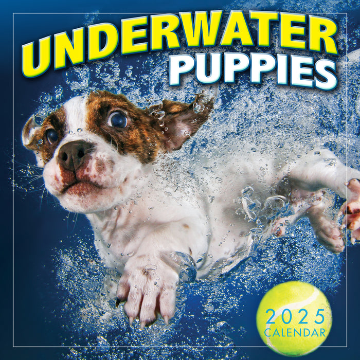 2025 Underwater Puppies by Seth Casteel Mini Wall Calendar