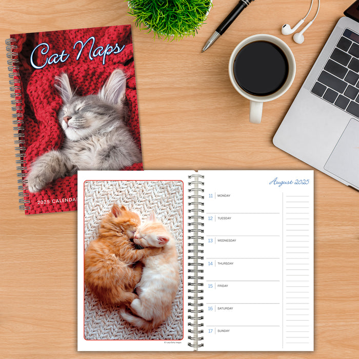 2025 Cat Naps Classic Engagement Diary