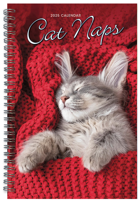 2025 Cat Naps Classic Engagement Diary