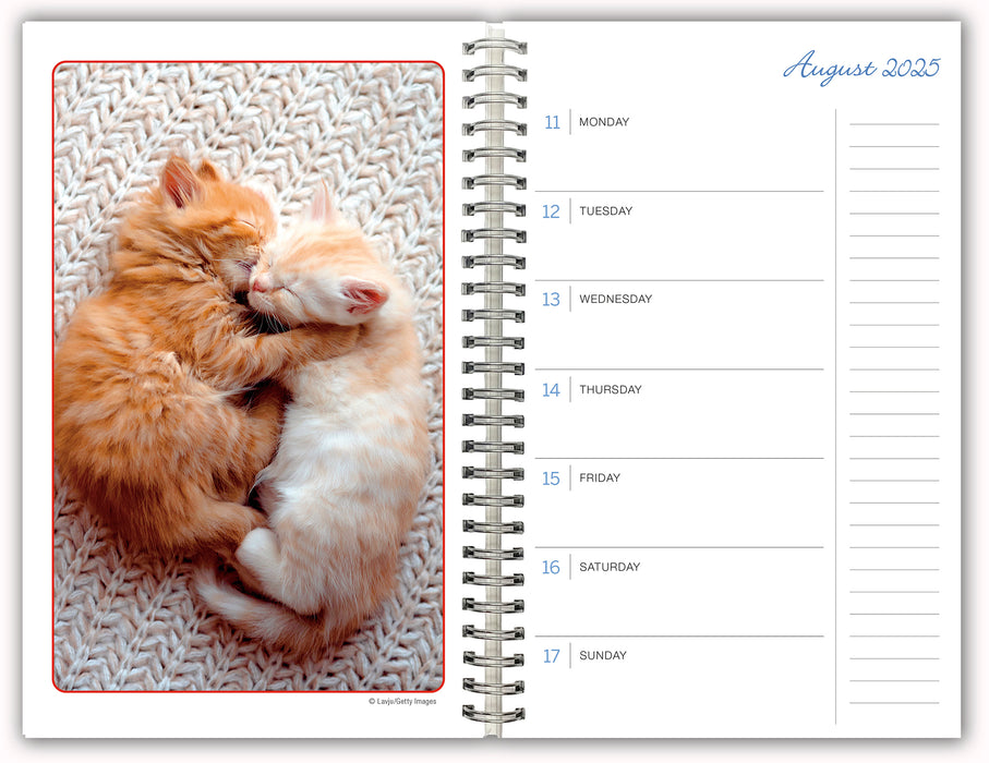 2025 Cat Naps Classic Engagement Diary