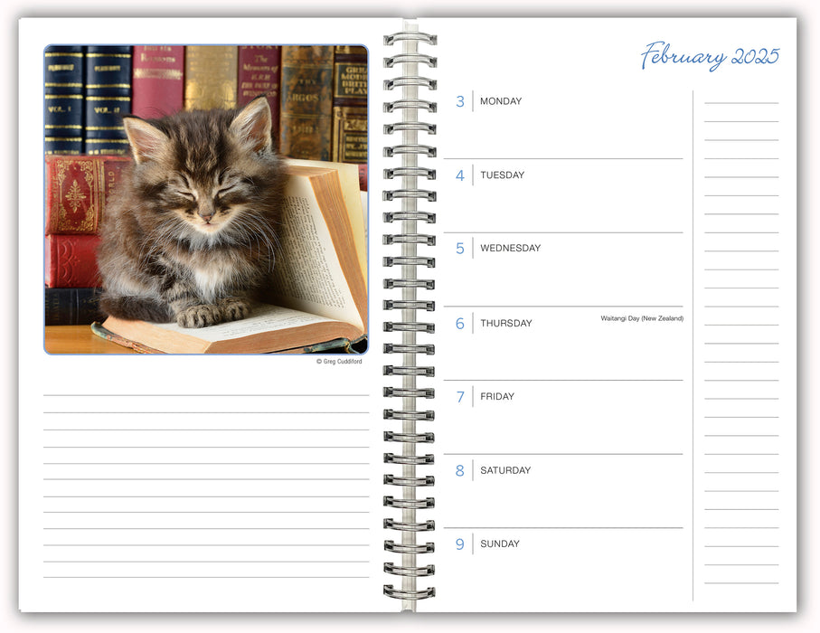 2025 Cat Naps Classic Engagement Diary