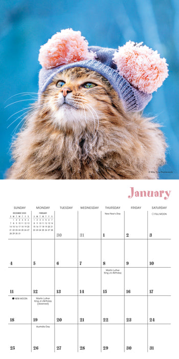 Cats in Hats 2026 Mini Wall Calendar