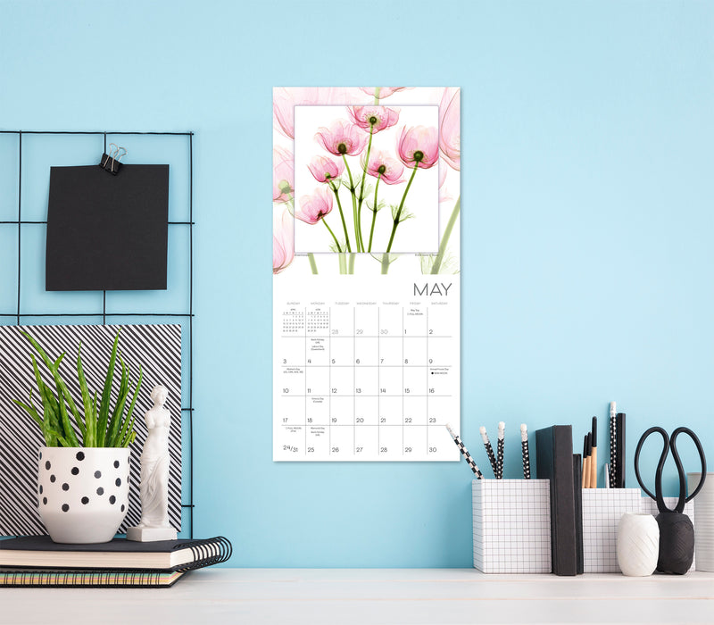 Flower Spirits Radiographs of Nature by Steven N. Meyers 2026 Mini Wall Calendar