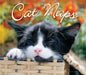 Cat Naps 2026 Page-A-Day Calendar