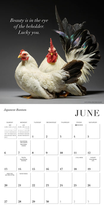 Glamour Chicks 2027 Square Wall Calendar