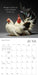Glamour Chicks 2027 Square Wall Calendar