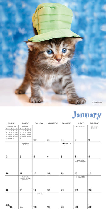 Cats in Hats 2027 Mini Wall Calendar