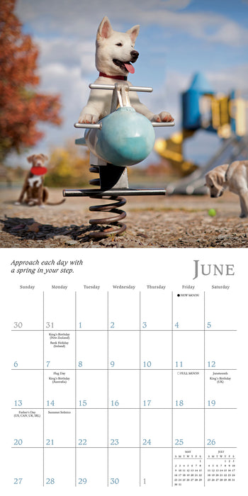 Dogma A Dog's Guide to Life 2027 Mini Wall Calendar