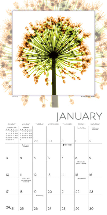 Flower Spirits Radiographs of Nature 2027 Mini Wall Calendar
