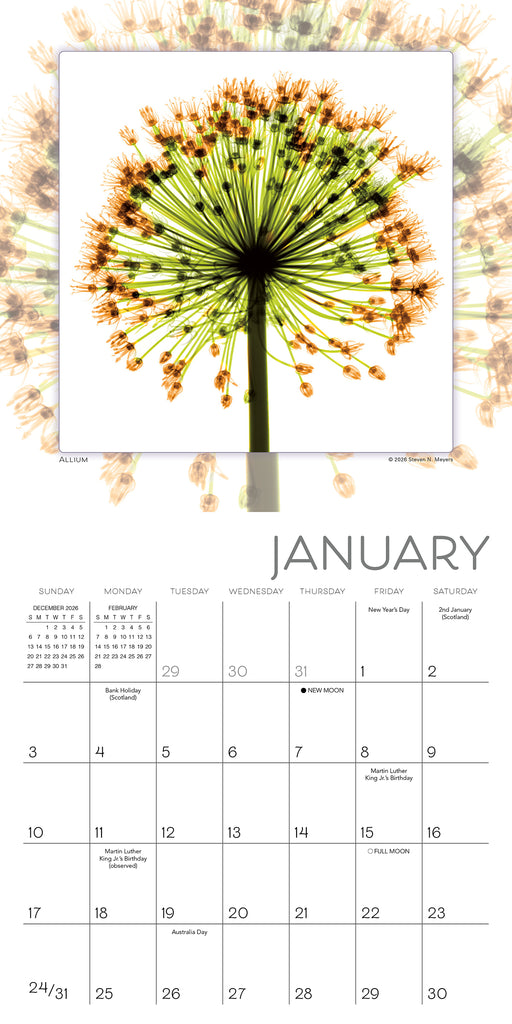 Flower Spirits Radiographs of Nature 2027 Mini Wall Calendar