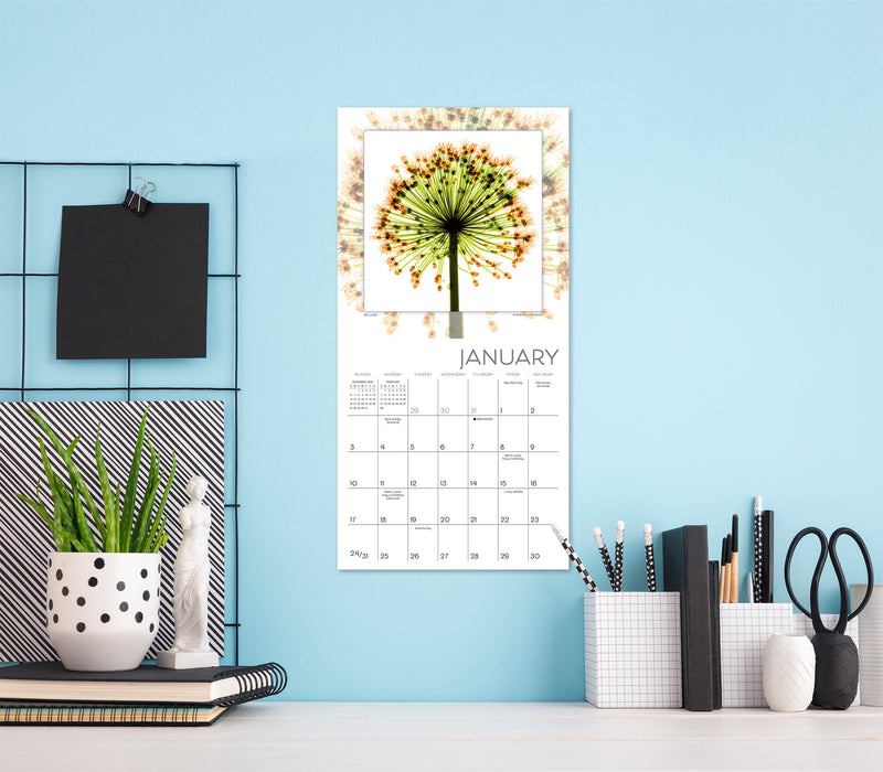 Flower Spirits Radiographs of Nature 2027 Mini Wall Calendar