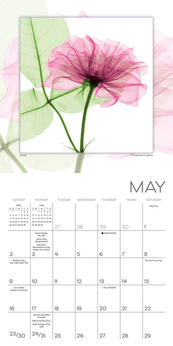 Flower Spirits Radiographs of Nature 2027 Mini Wall Calendar
