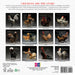 Glamour Chicks 2027 Mini Wall Calendar
