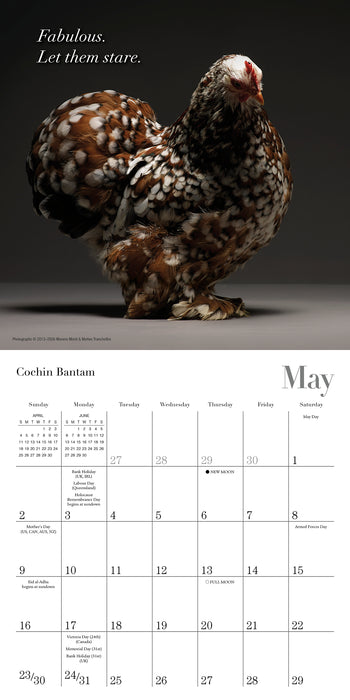 Glamour Chicks 2027 Mini Wall Calendar