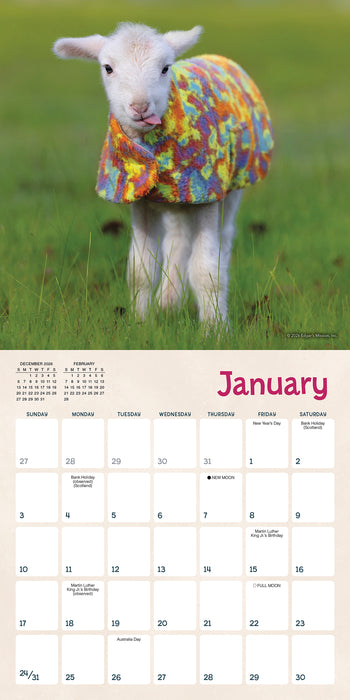 Lambies in Jammies and Goats 2027 Mini Wall Calendar