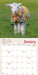 Lambies in Jammies and Goats 2027 Mini Wall Calendar