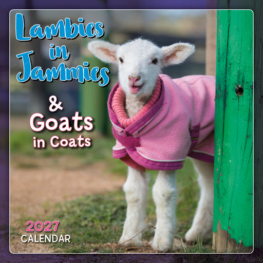 Lambies in Jammies and Goats 2027 Mini Wall Calendar